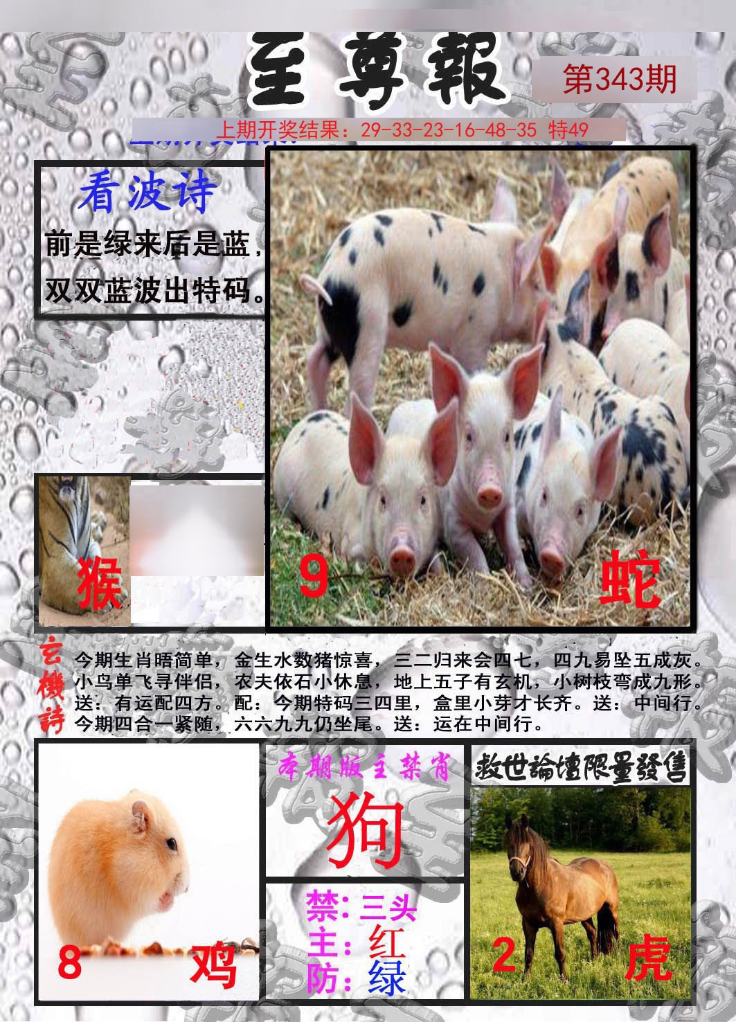 2024343期至尊报