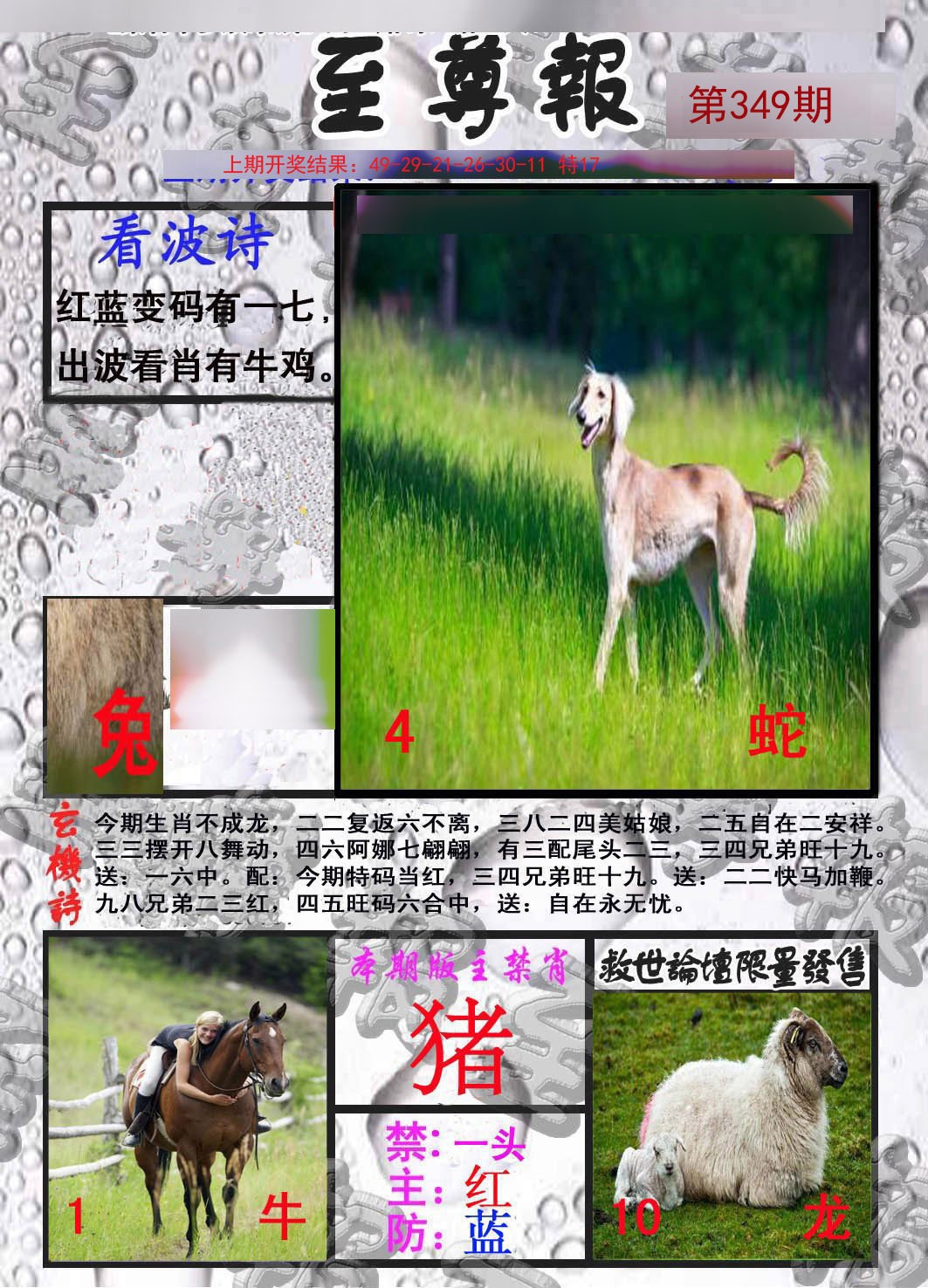 2024349期至尊报
