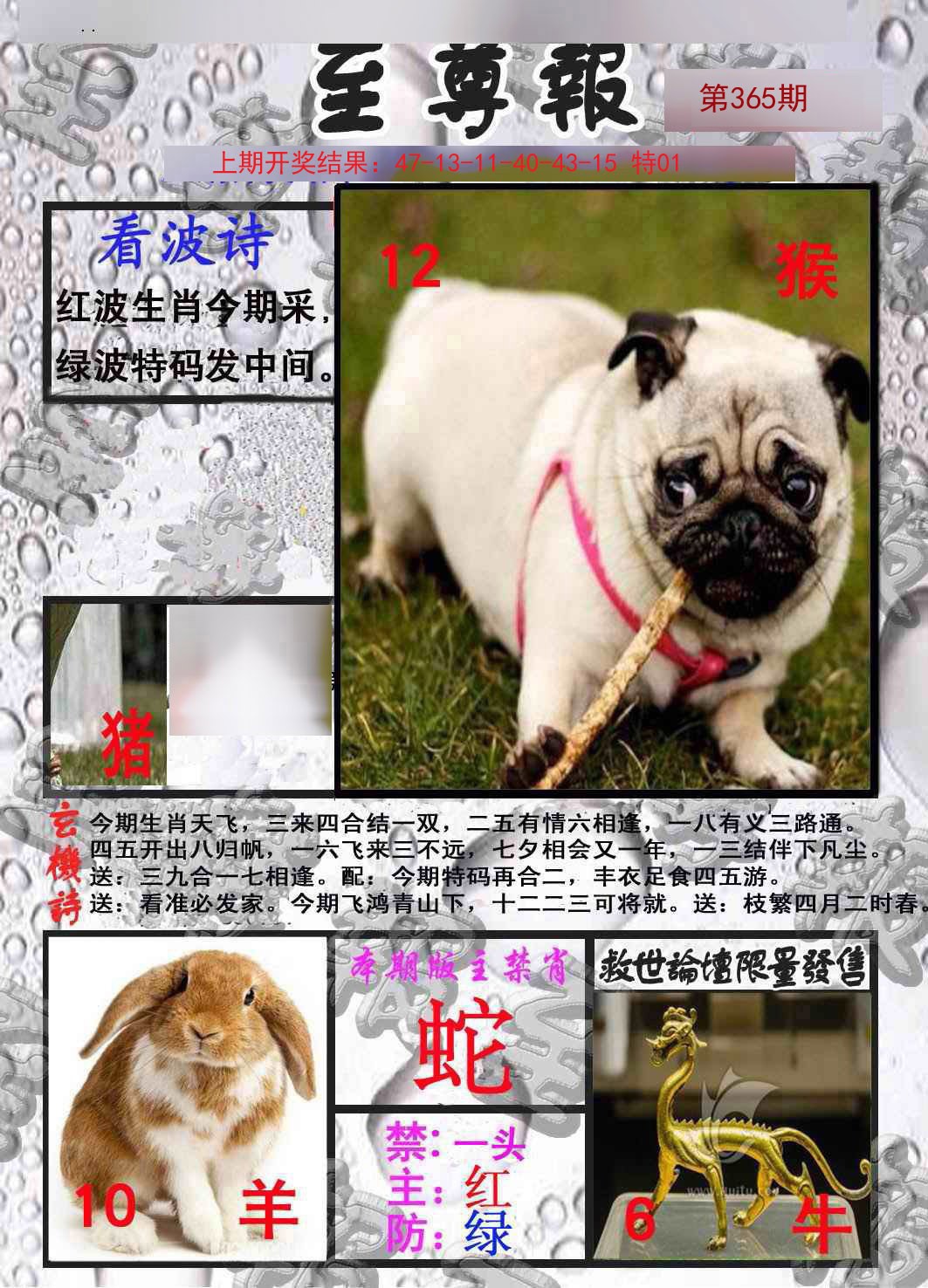 2024365期至尊报