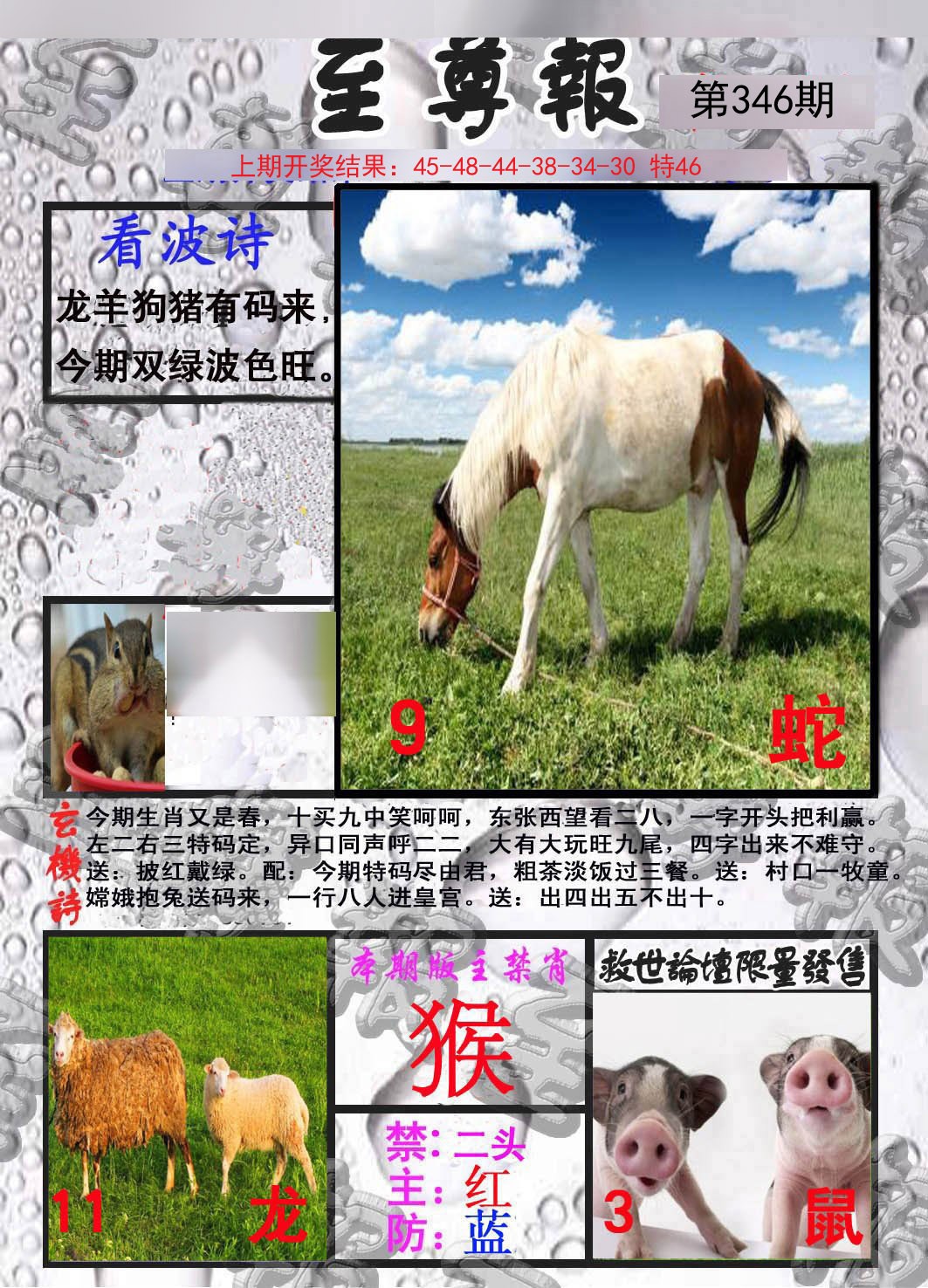 2024346期至尊报