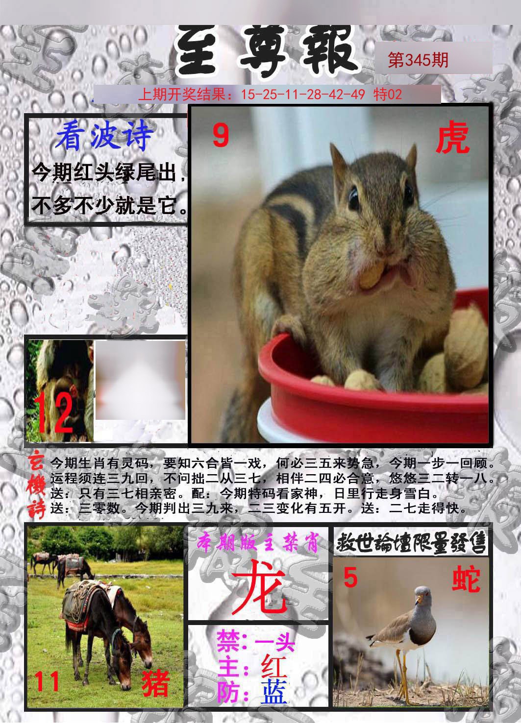 2024345期至尊报