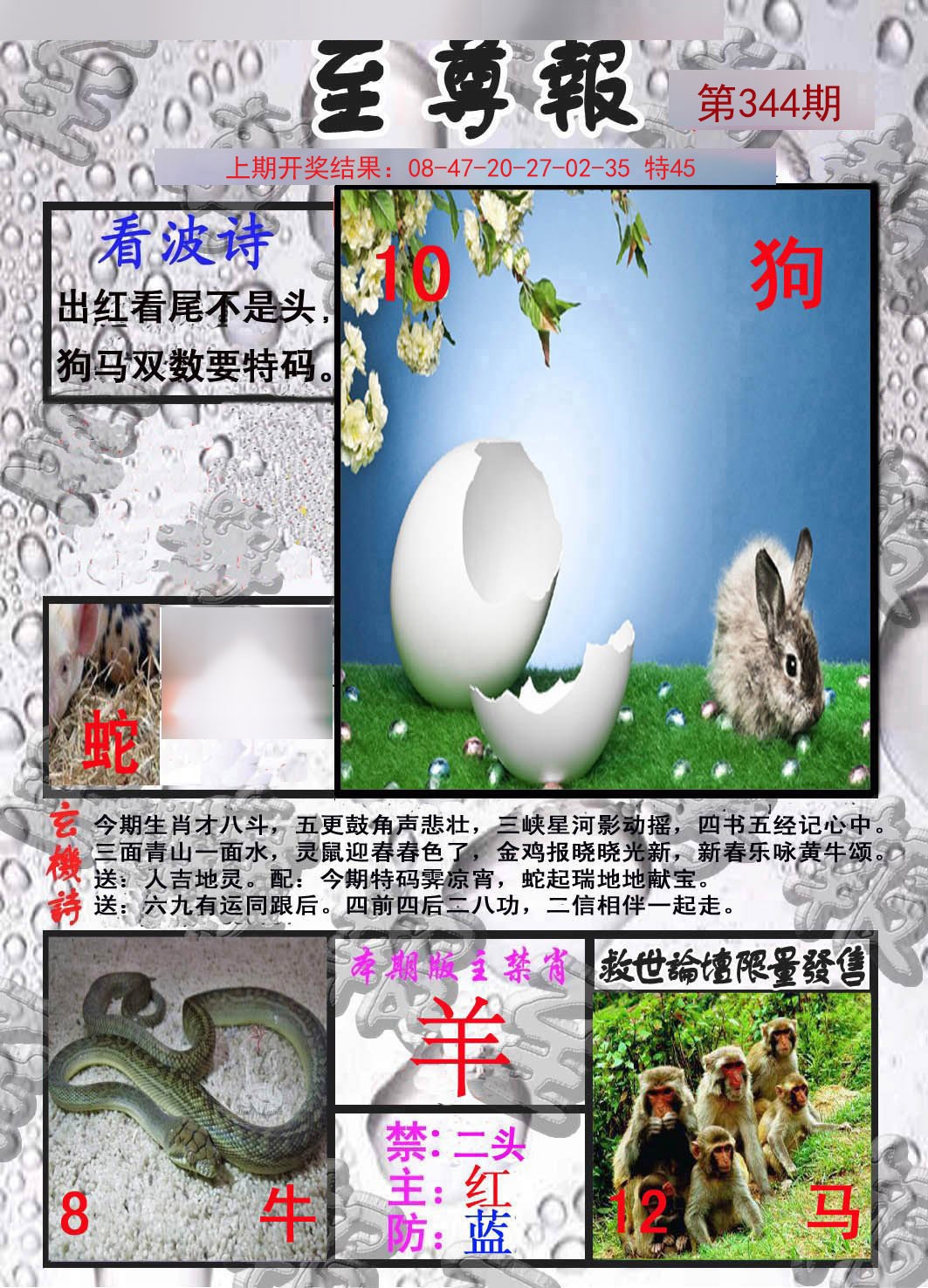 2024344期至尊报
