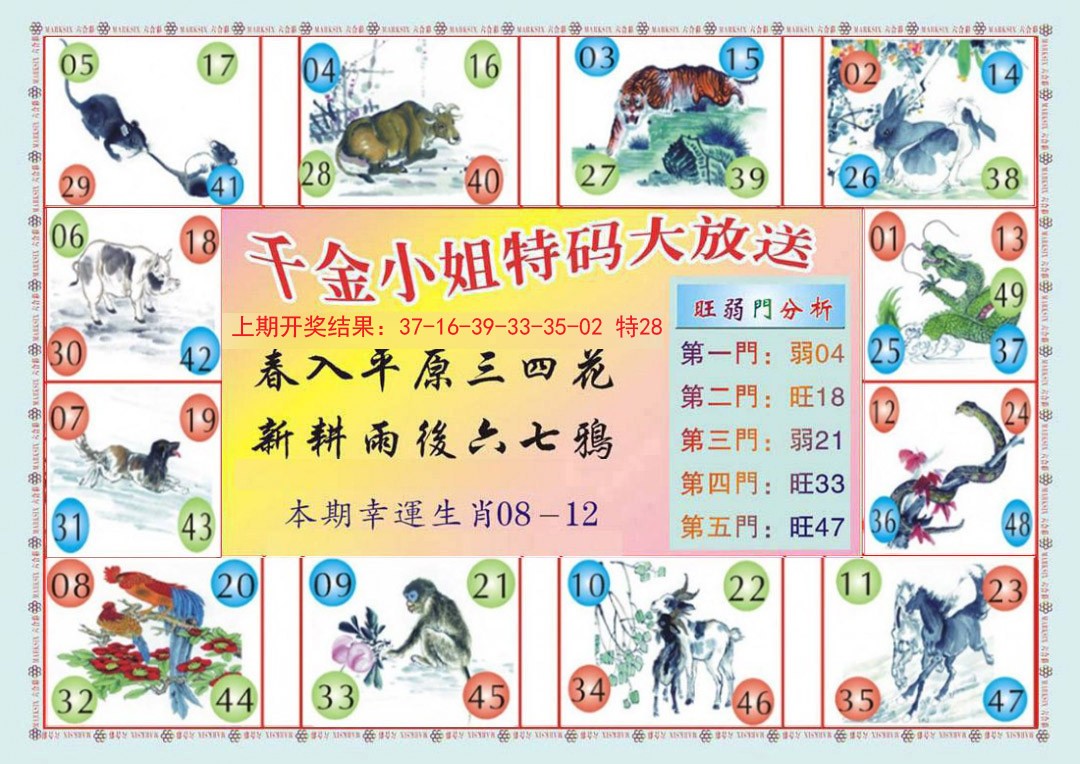 2024348期(新版)千金小姐B