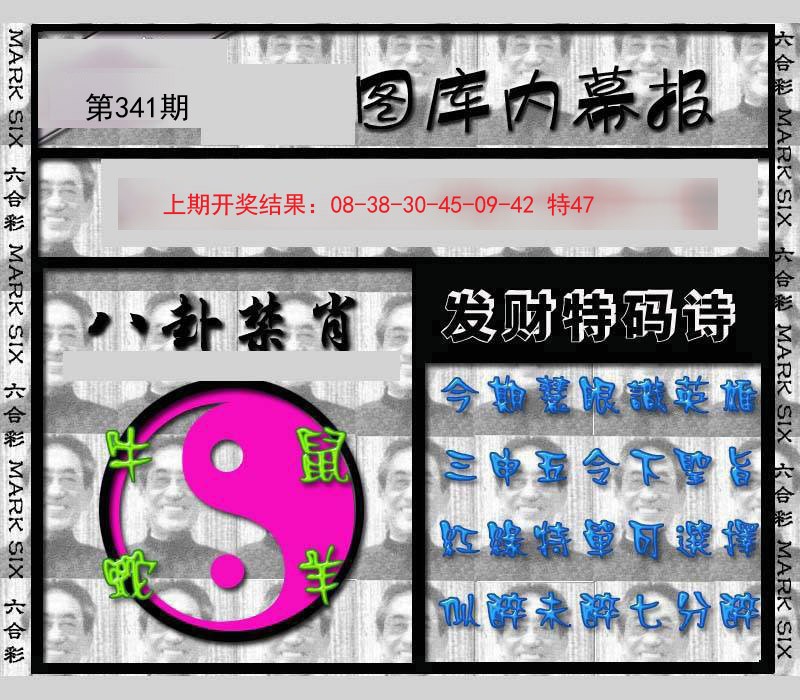 2024341期内幕报