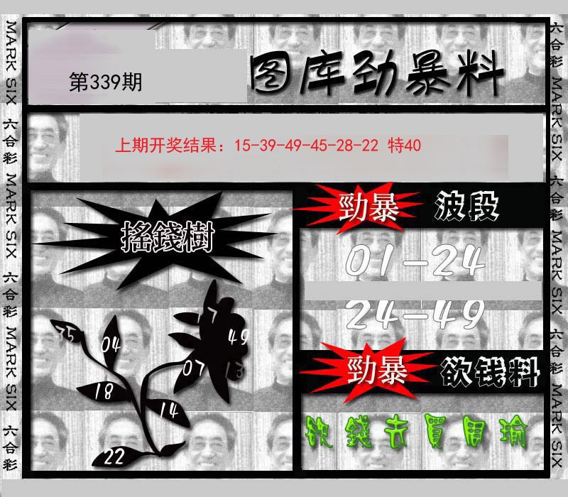 2024339期劲暴来料