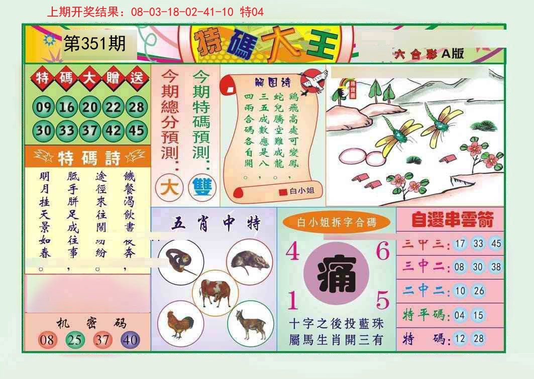 2024351期特码大王A