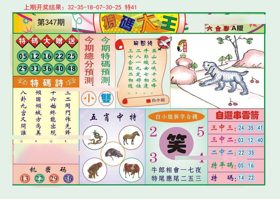 2024347期特码大王A