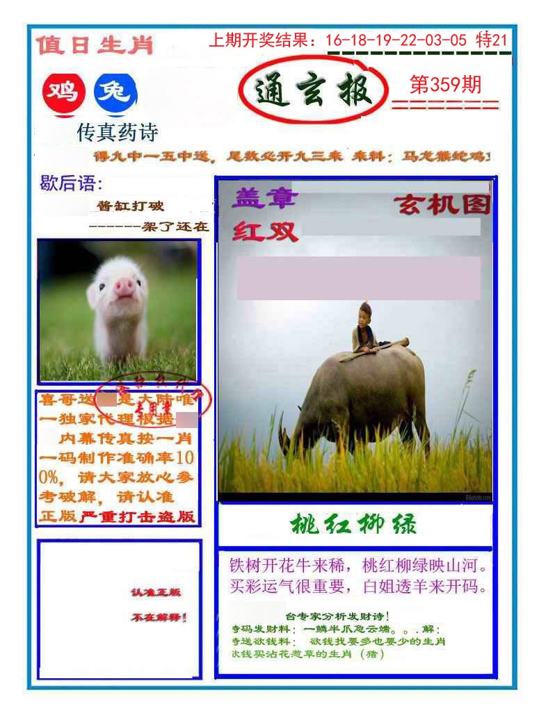 2024359期通玄报
