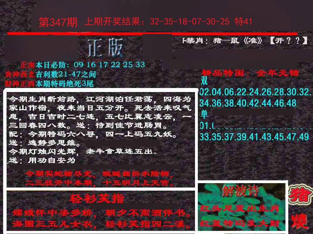 2024347期新港内幕