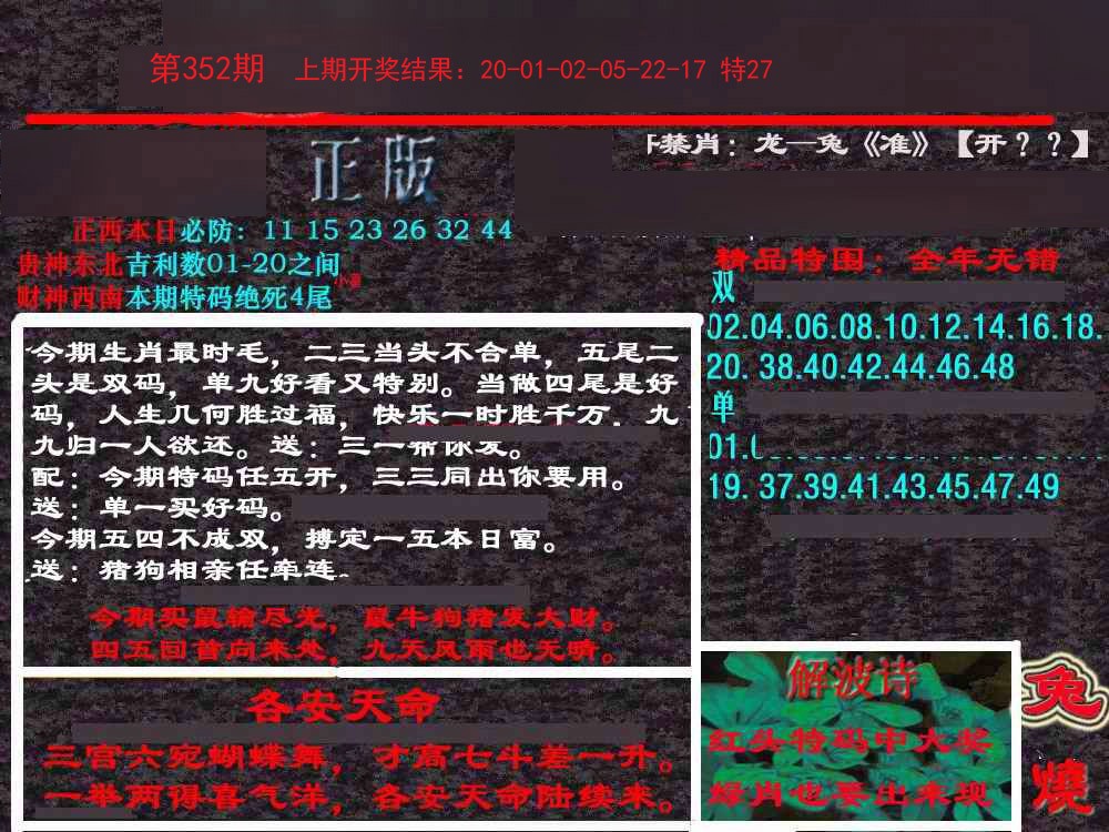 2024352期新港内幕