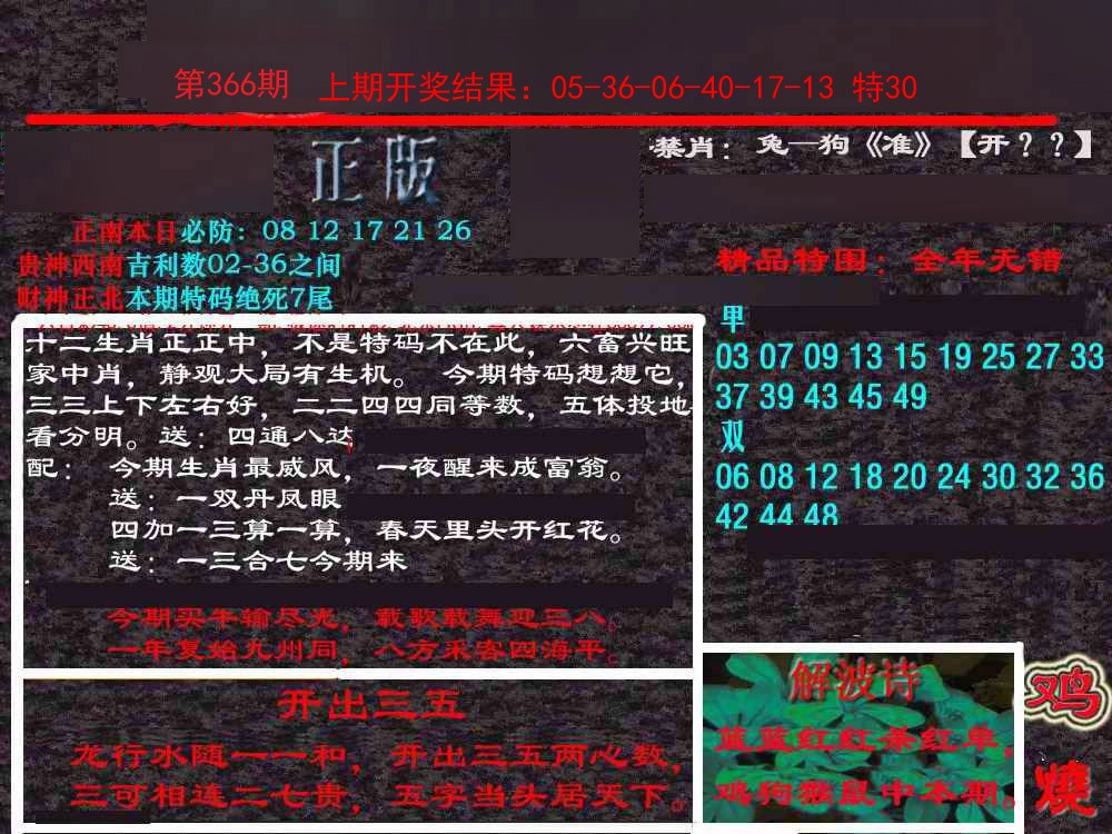 2024366期新港内幕