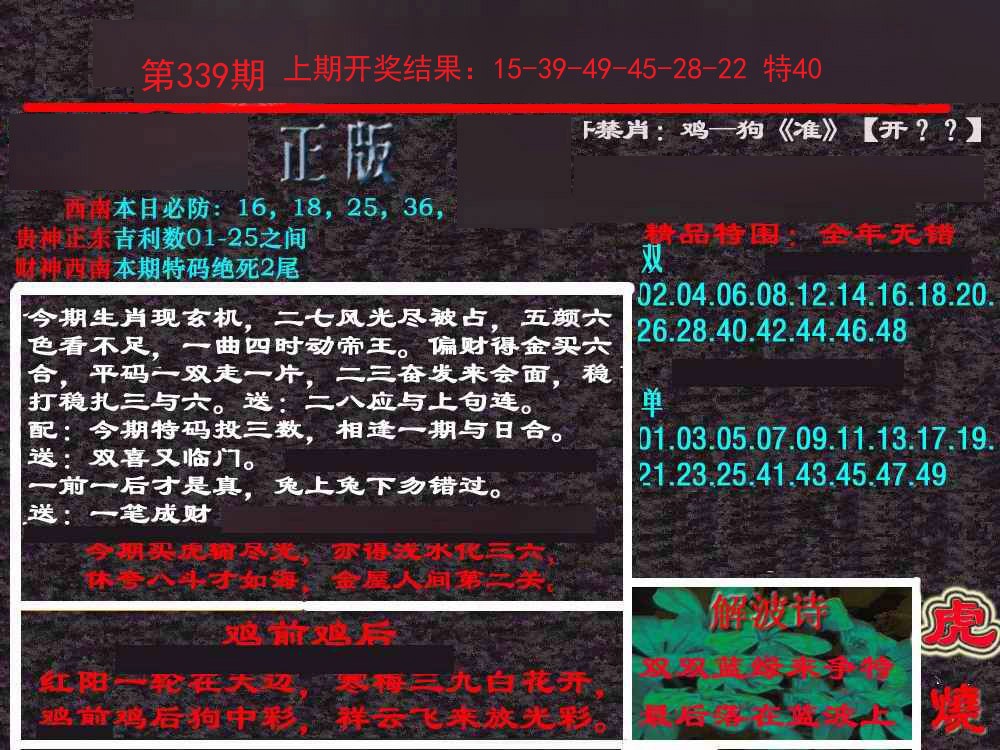 2024339期新港内幕