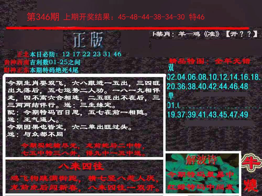 2024346期新港内幕
