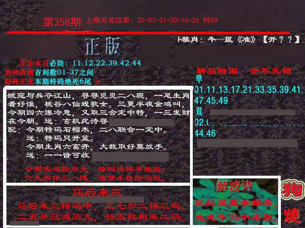 2024358期新港内幕