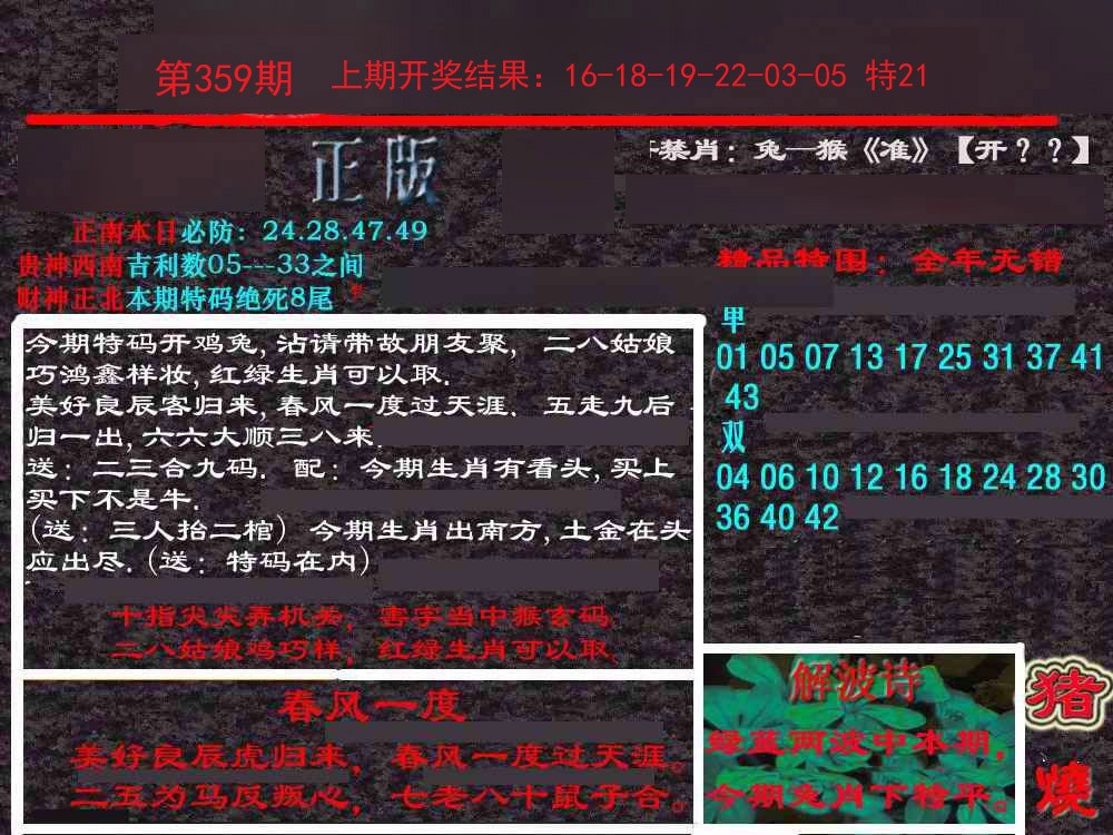 2024359期新港内幕