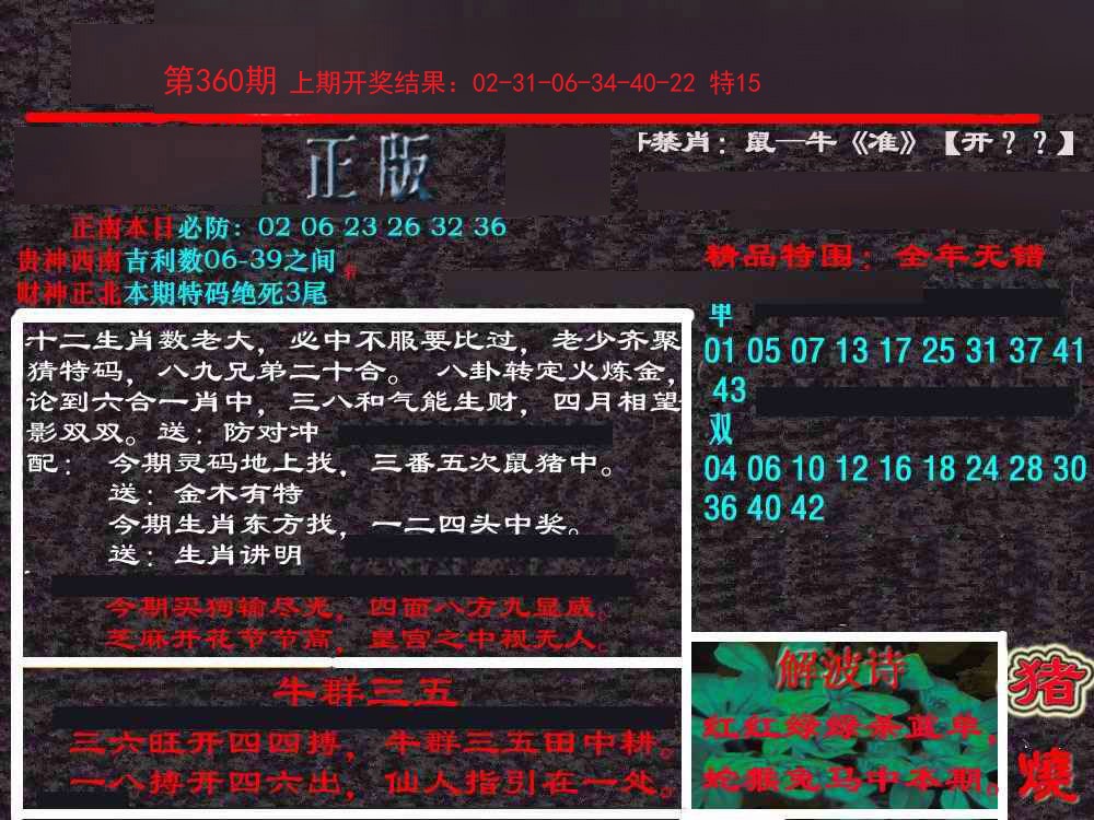 2024360期新港内幕