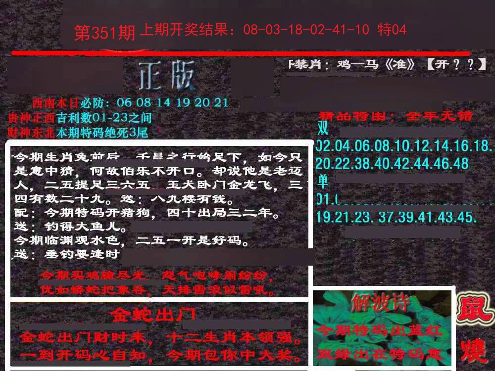2024351期新港内幕