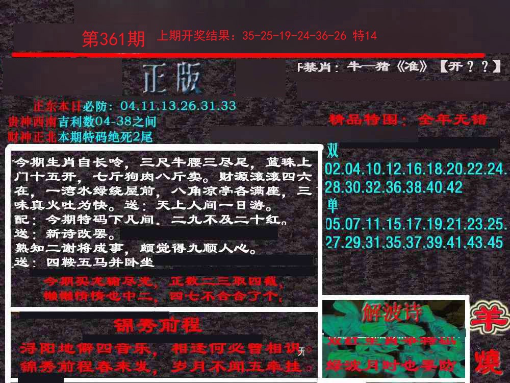 2024361期新港内幕