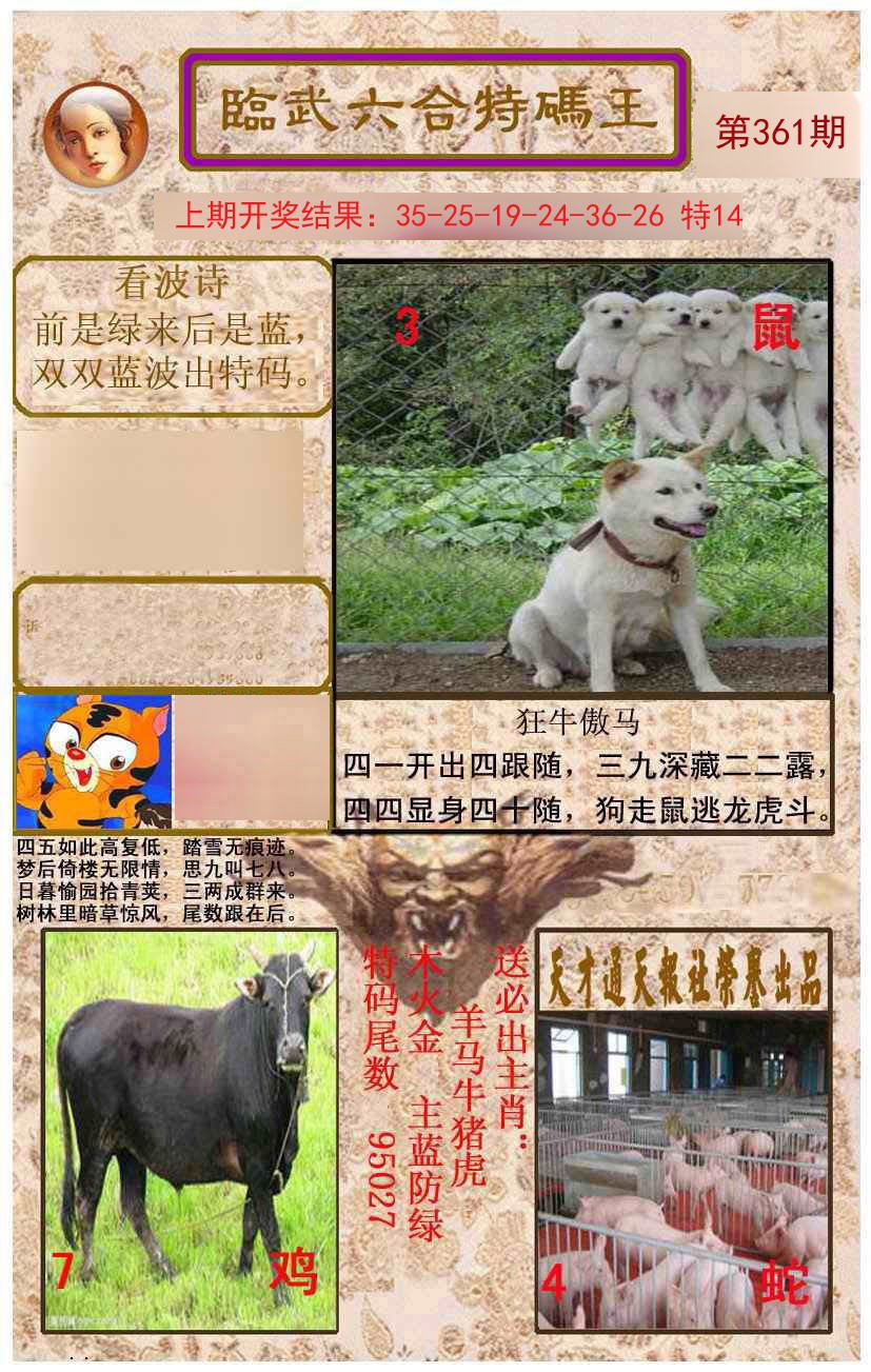 2024361期临武六合特码王