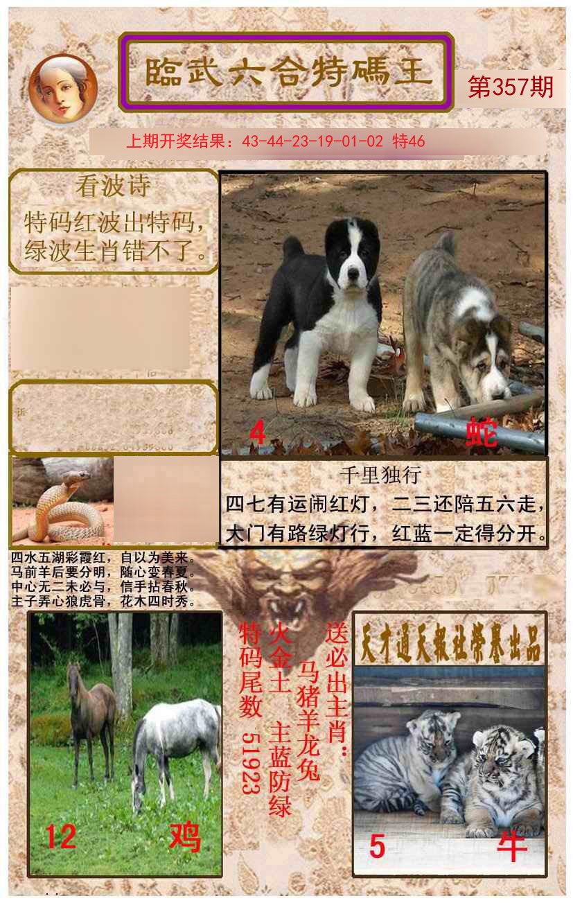 2024357期临武六合特码王