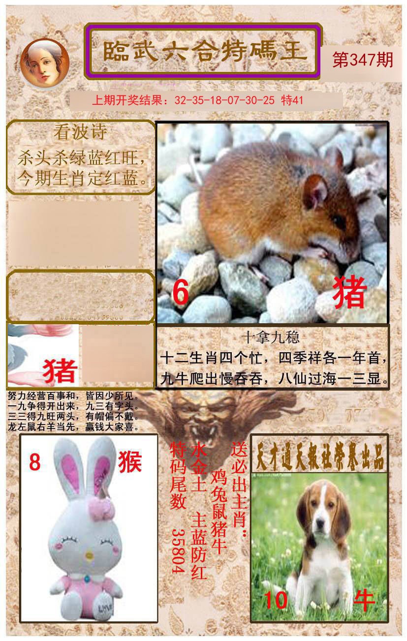 2024347期临武六合特码王