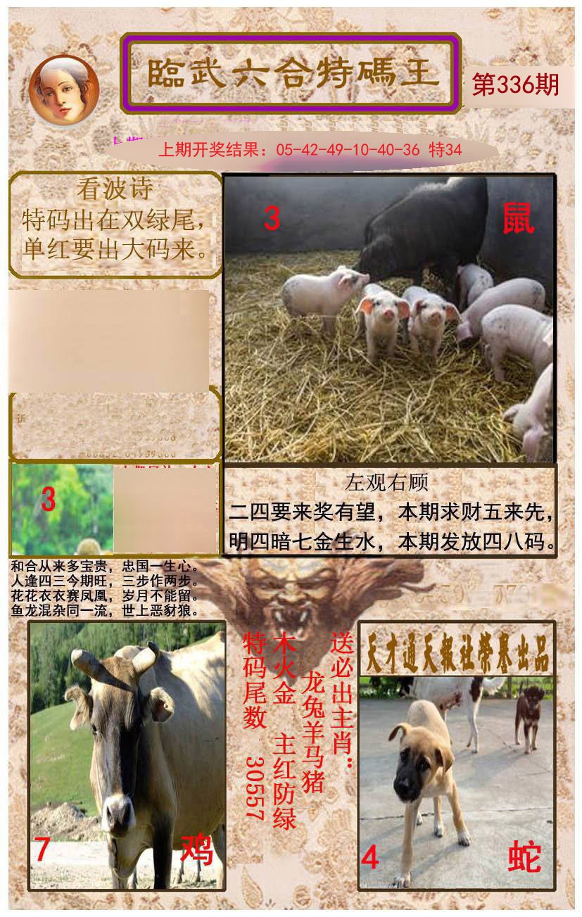 2024336期临武六合特码王
