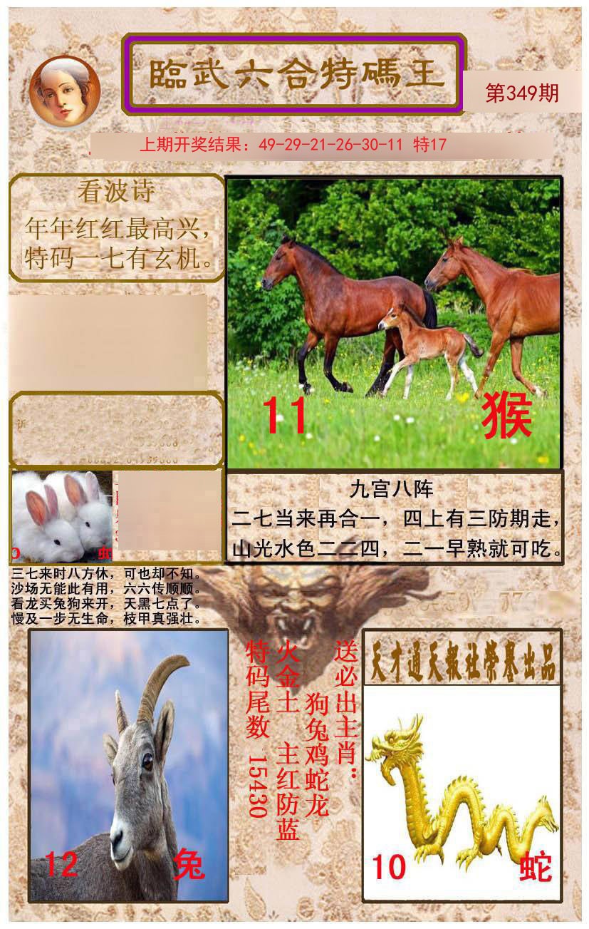 2024349期临武六合特码王