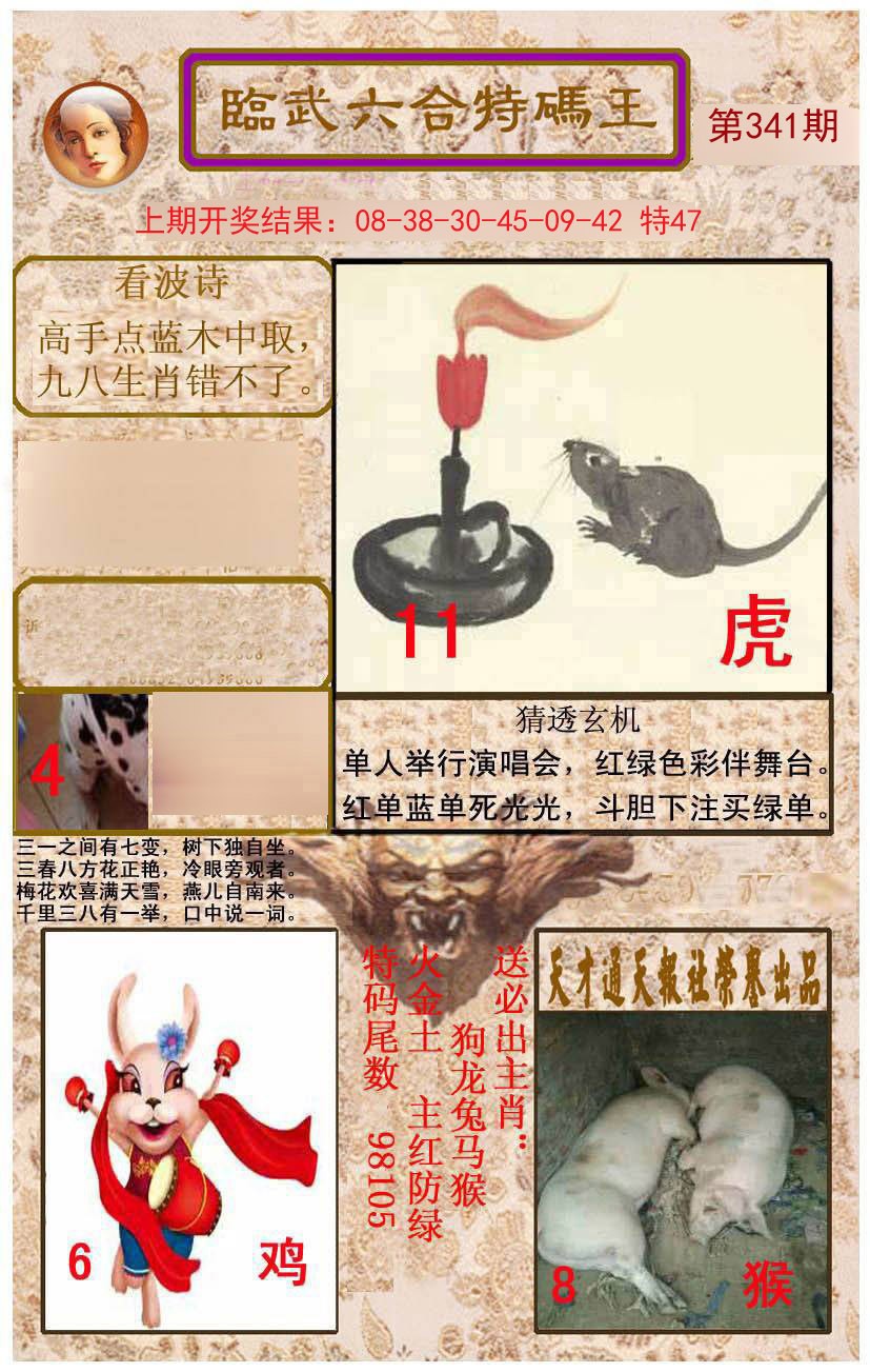 2024341期临武六合特码王