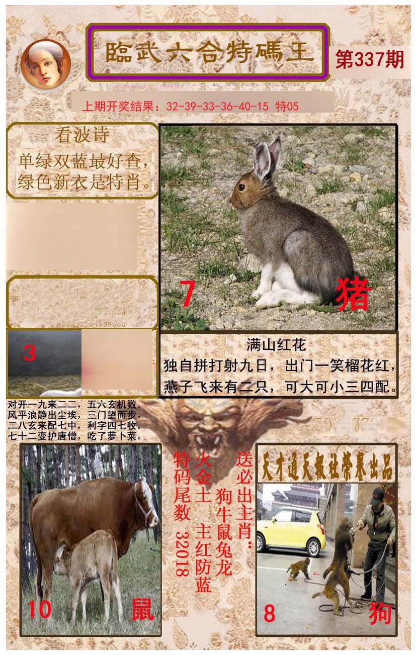 2024337期临武六合特码王