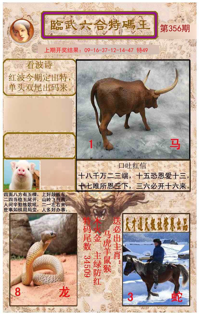 2024356期临武六合特码王