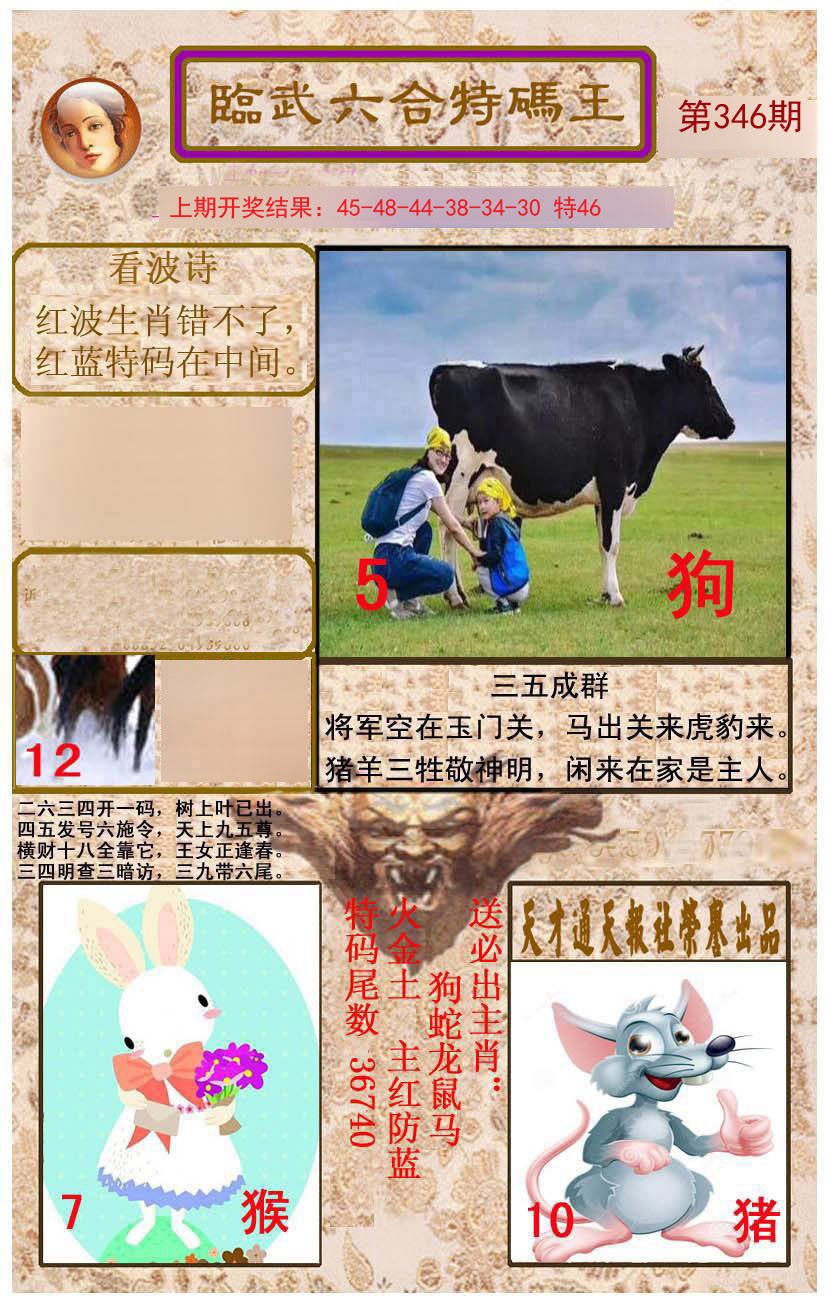 2024346期临武六合特码王