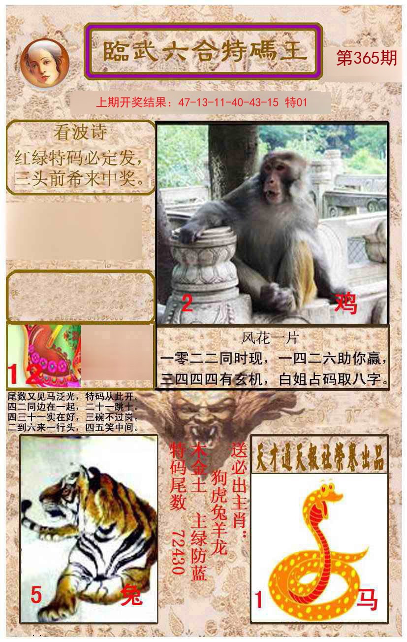2024365期临武六合特码王