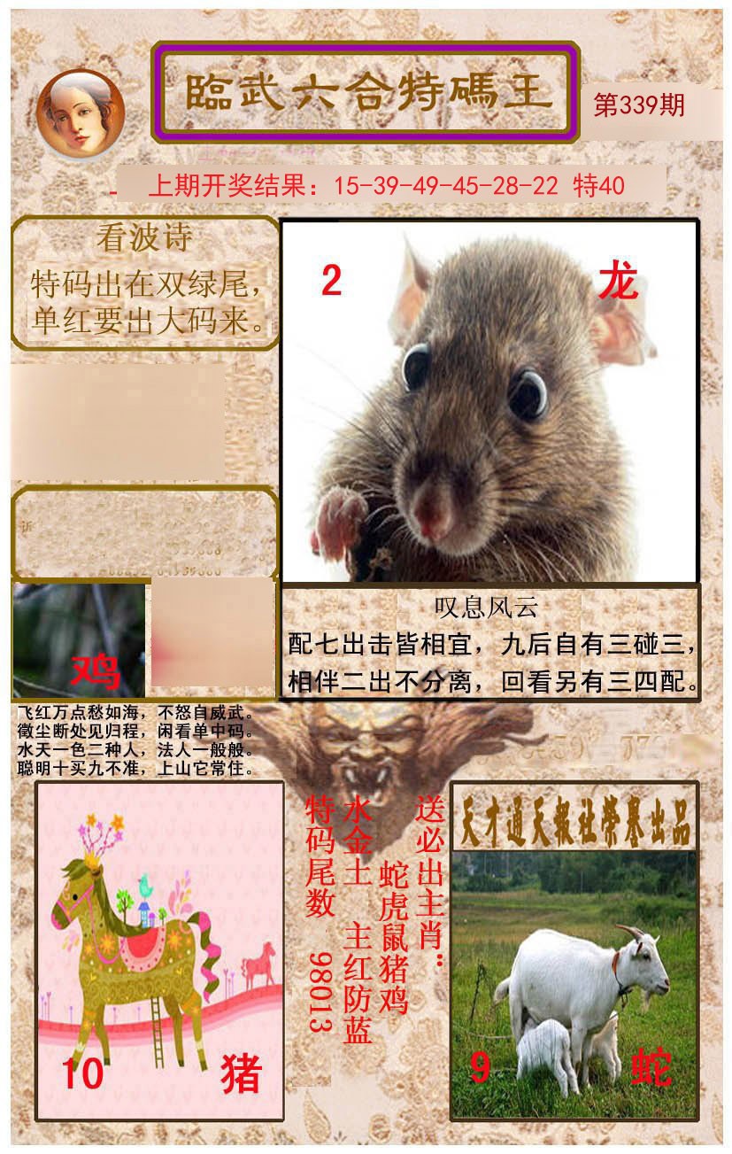 2024339期临武六合特码王