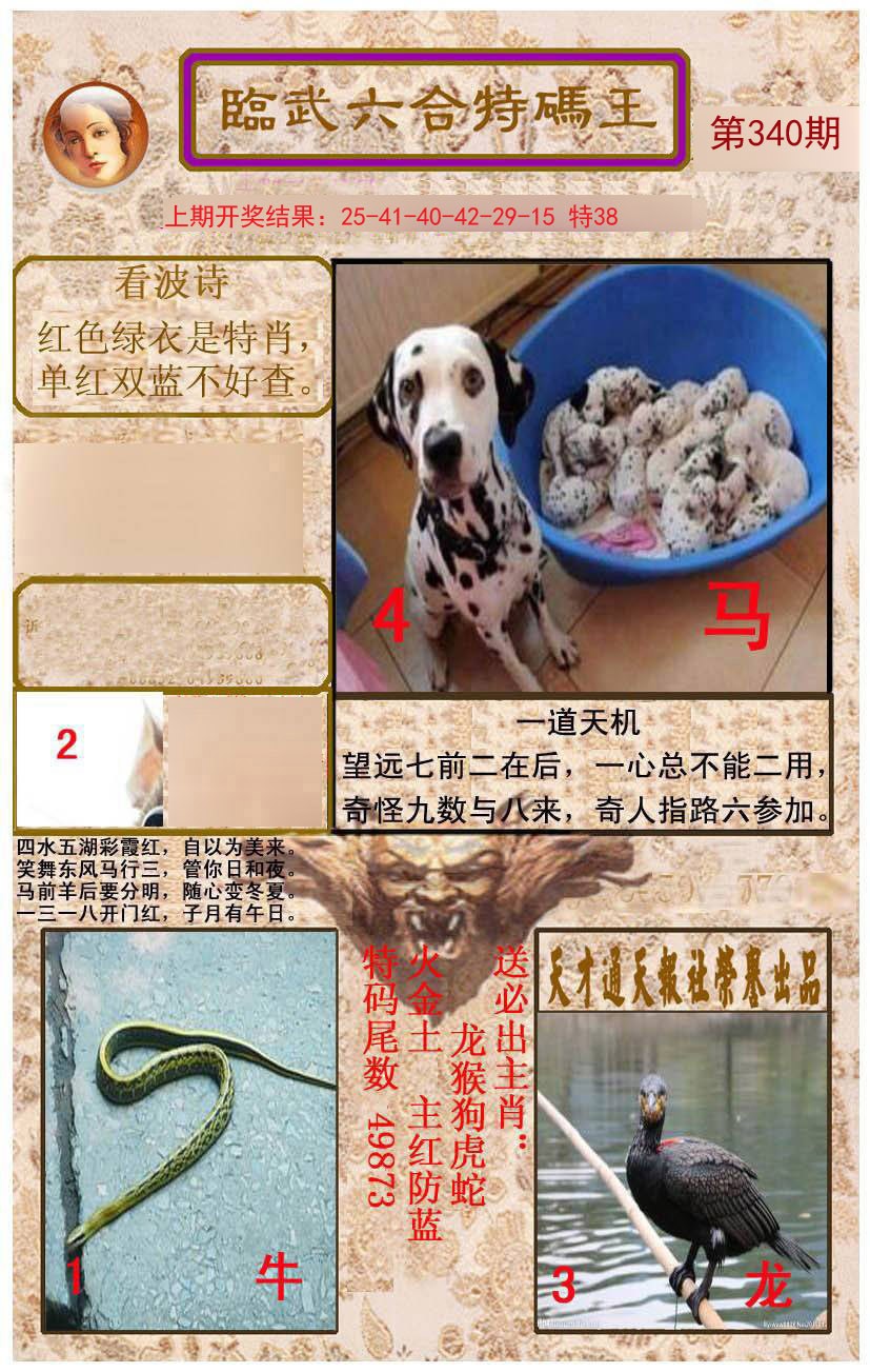 2024340期临武六合特码王