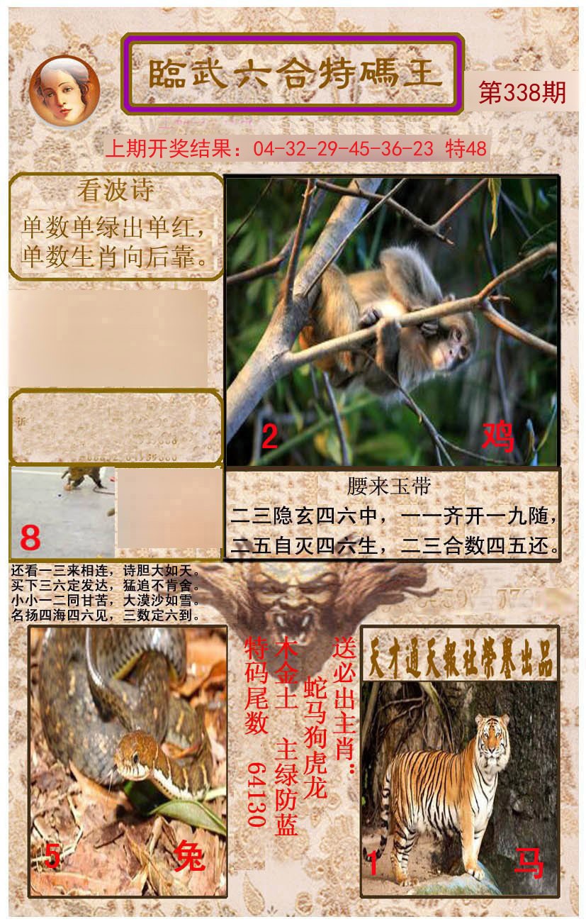 2024338期临武六合特码王