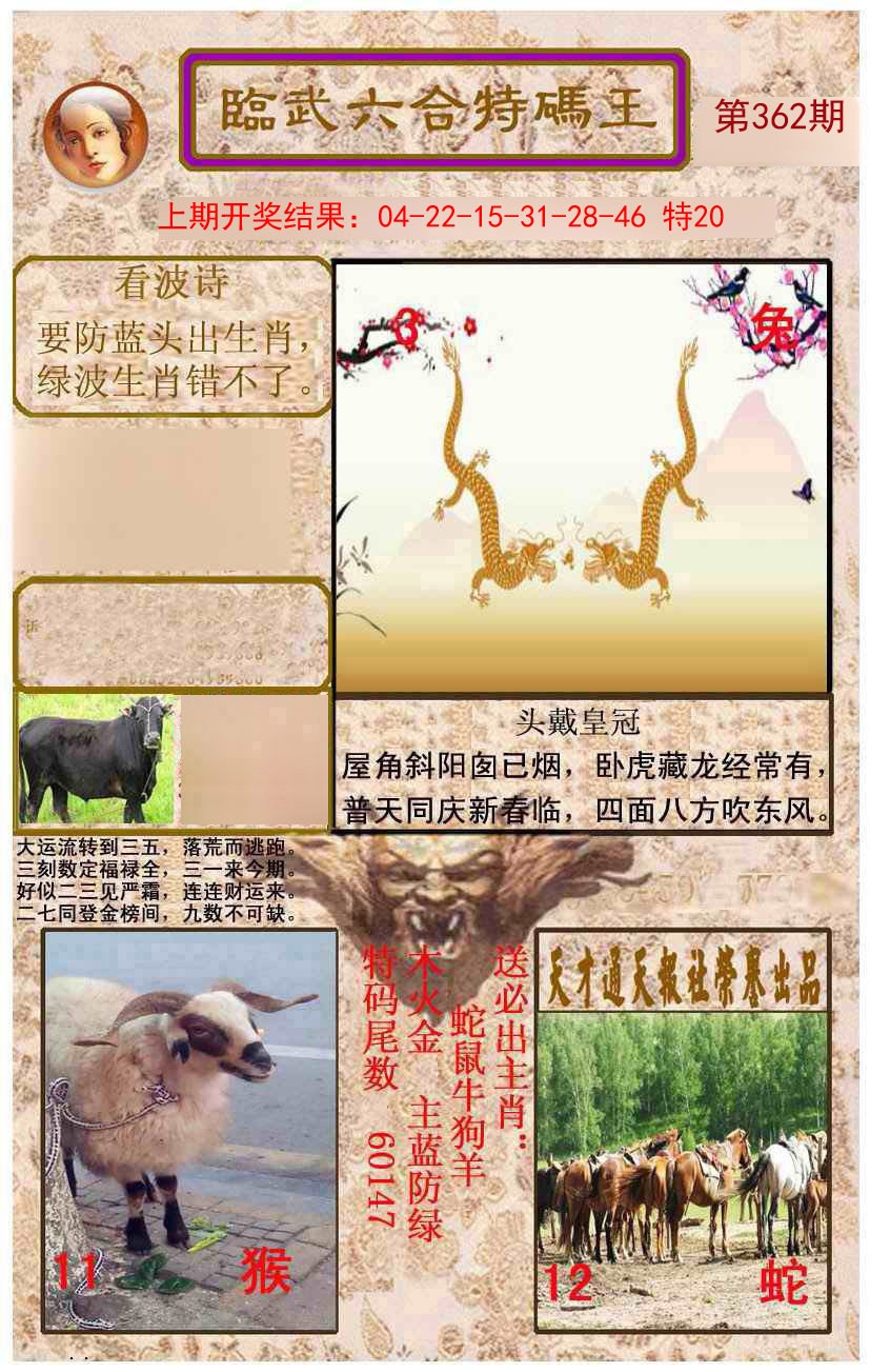 2024362期临武六合特码王