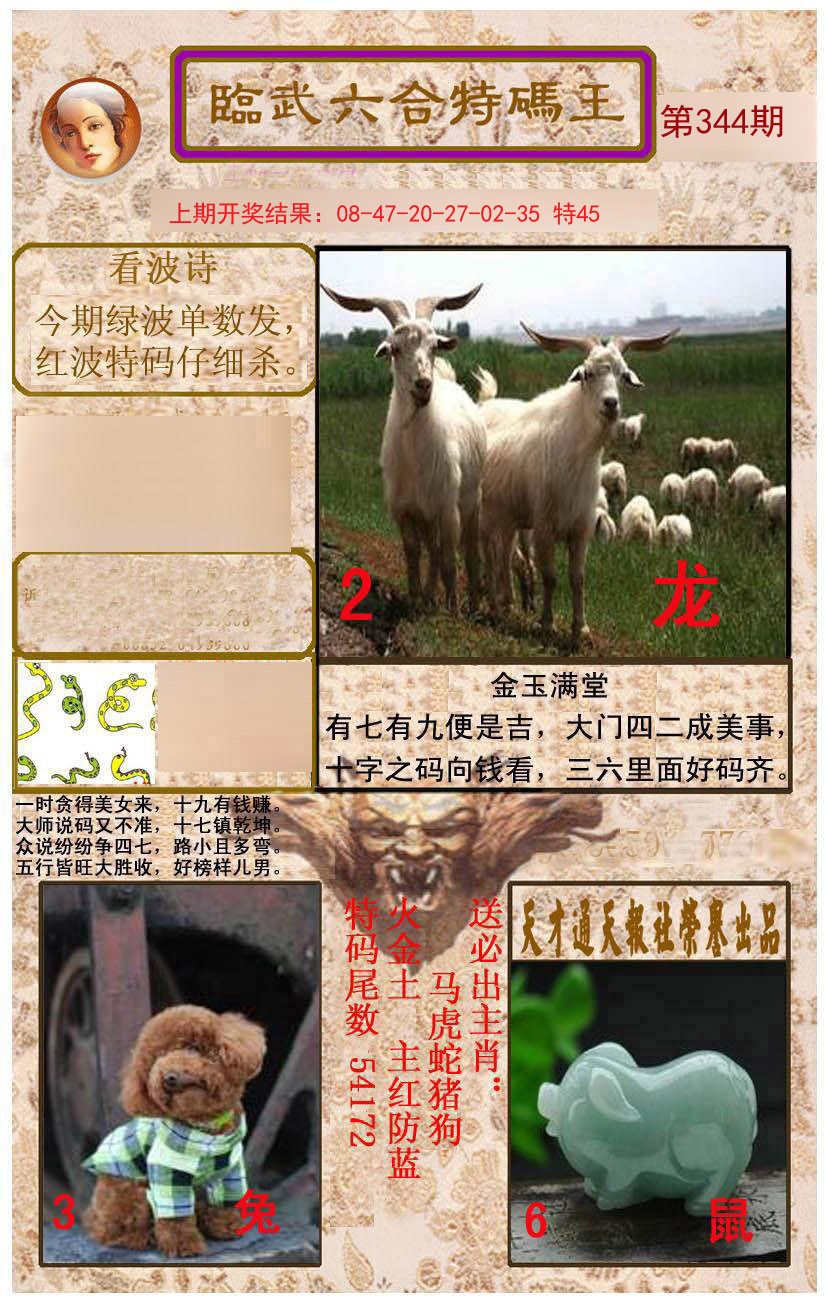 2024344期临武六合特码王