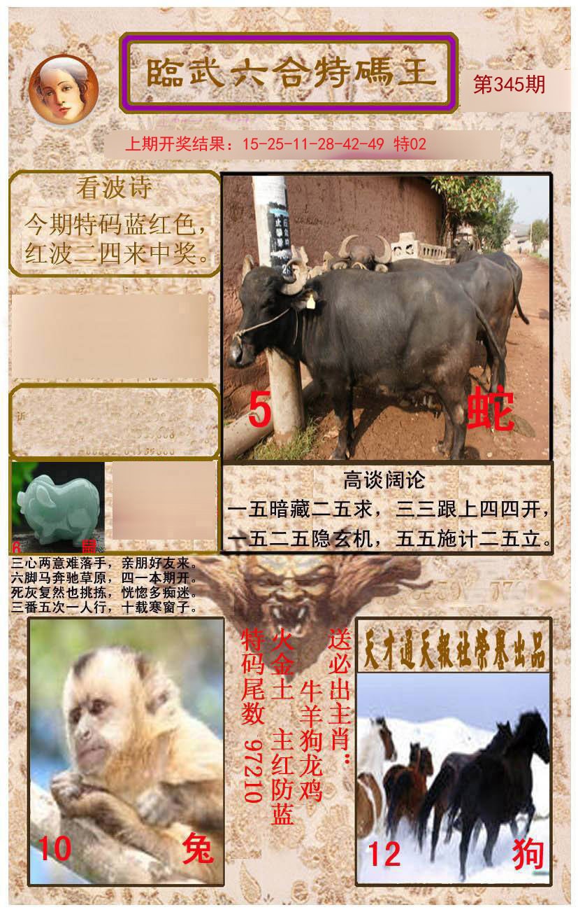 2024345期临武六合特码王
