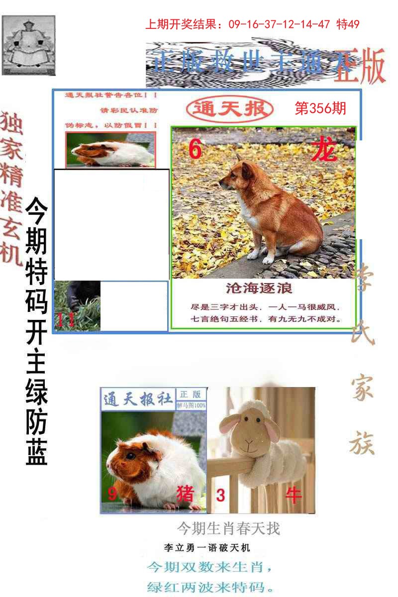 2024356期李力勇通天报