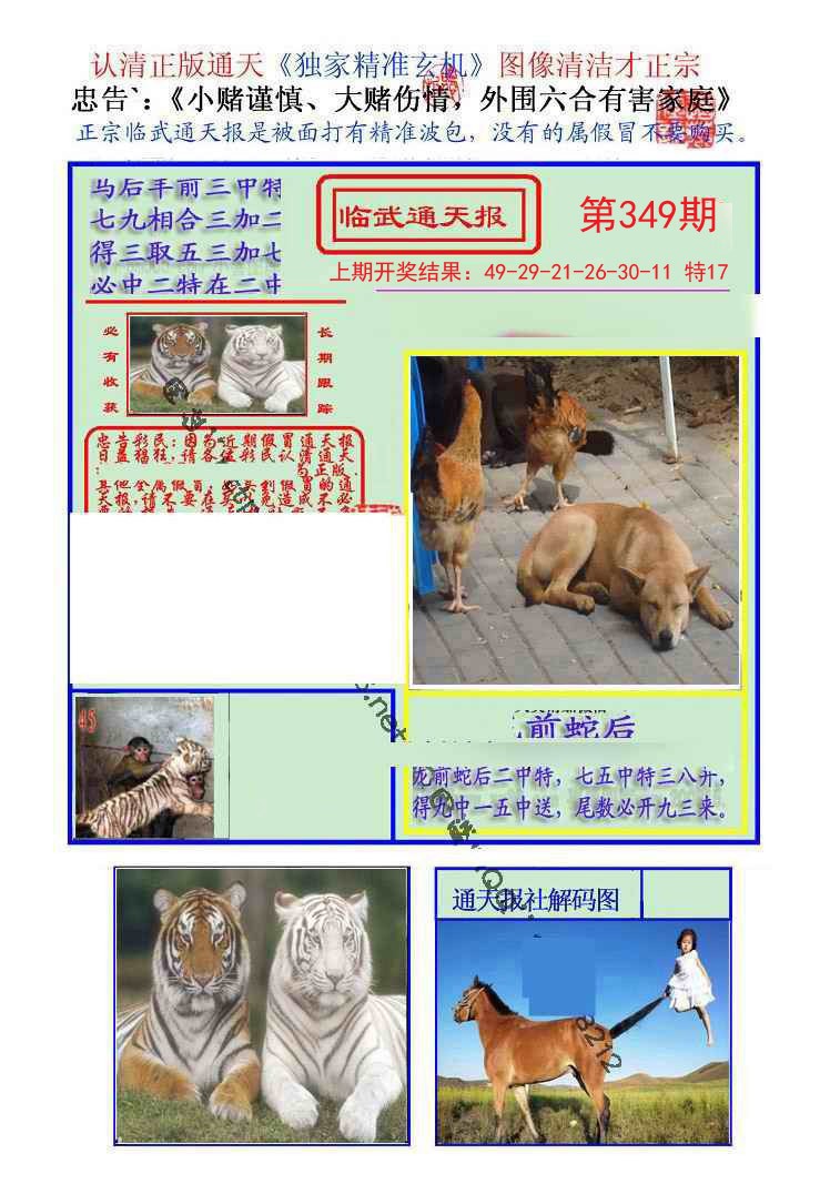2024349期临武通天报