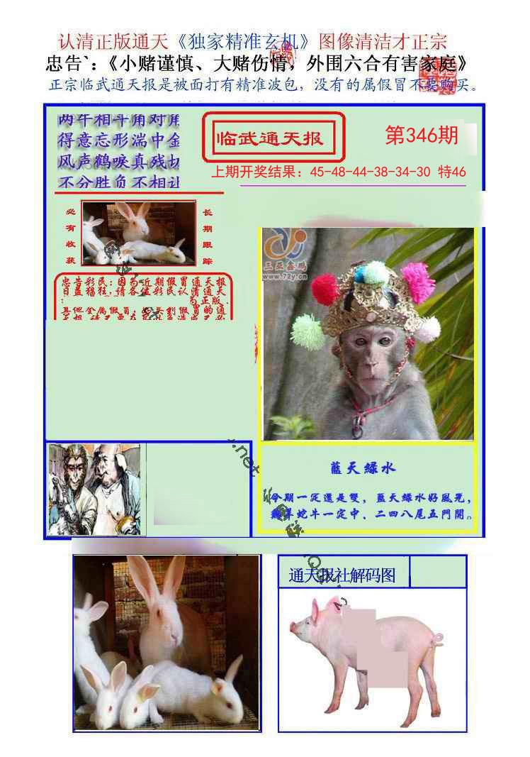 2024346期临武通天报