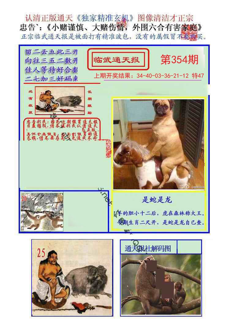 2024354期临武通天报