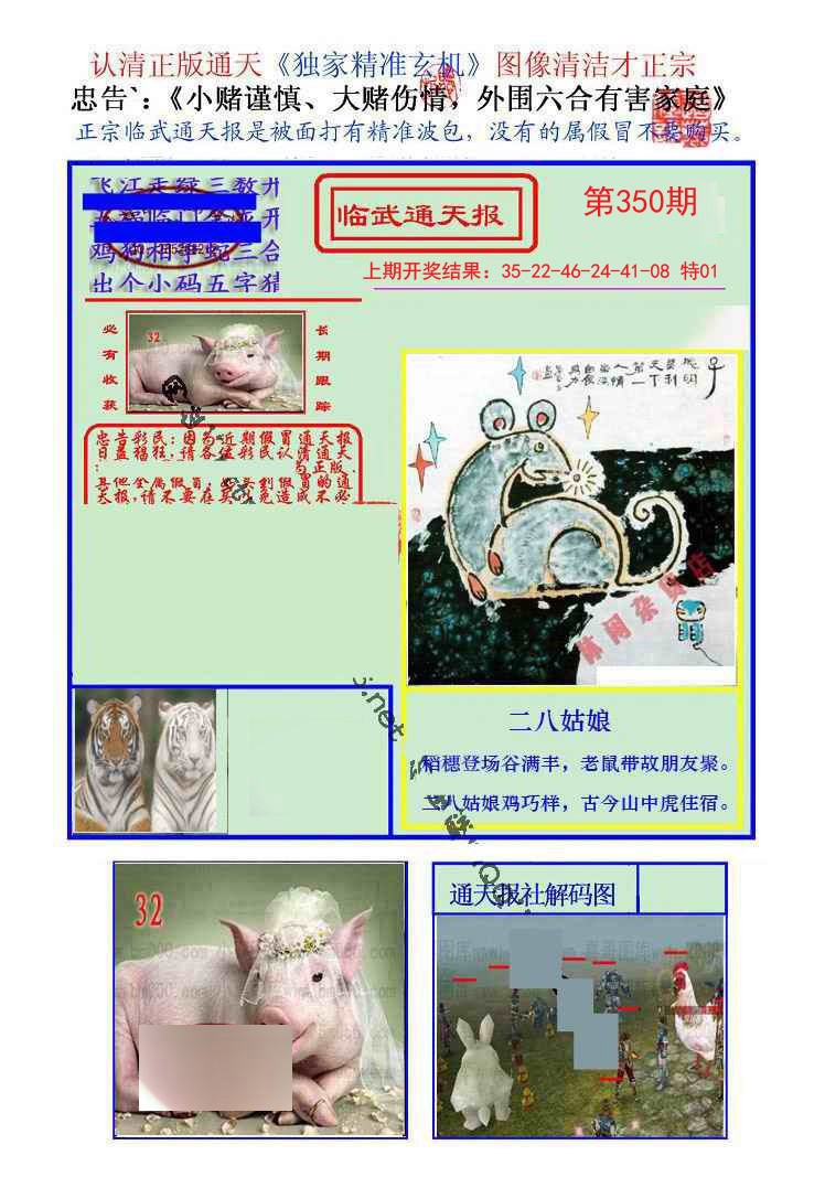 2024350期临武通天报