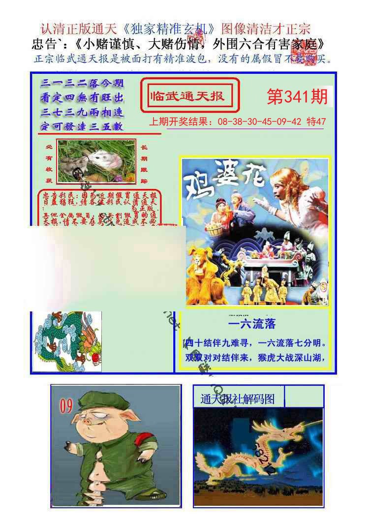 2024341期临武通天报