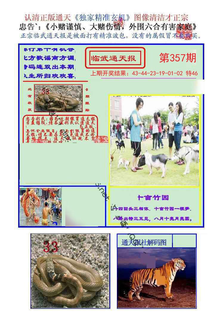 2024357期临武通天报
