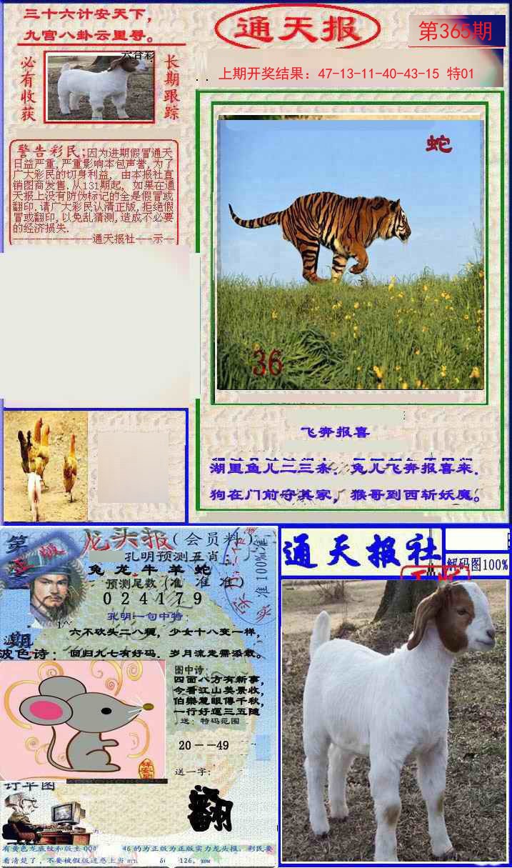 2024365期实力通天报