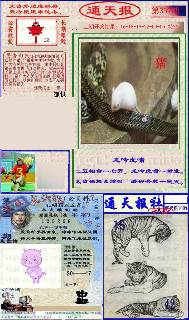 2024359期实力通天报