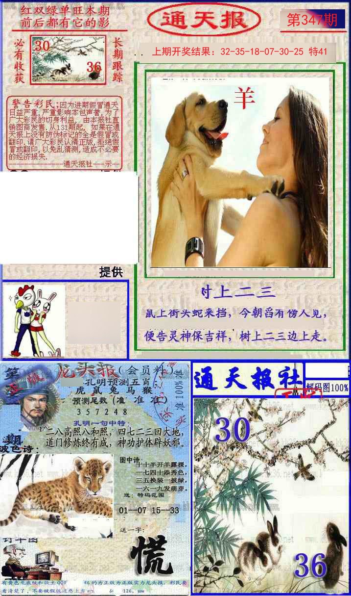 2024347期实力通天报