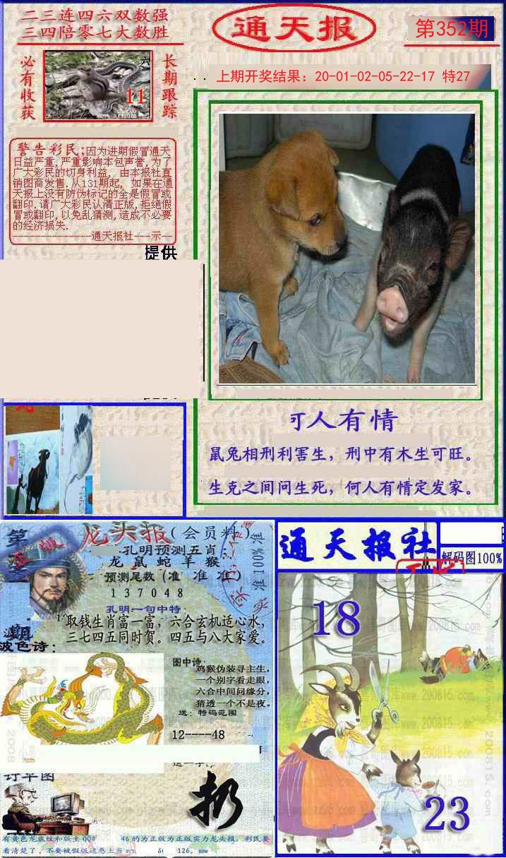 2024352期实力通天报