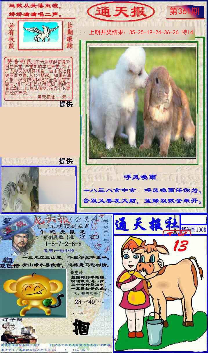 2024361期实力通天报